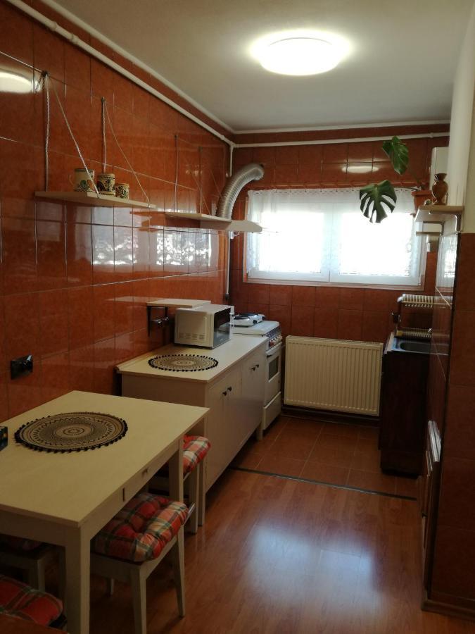 Sara Apartman Târgu-Mureş 외부 사진
