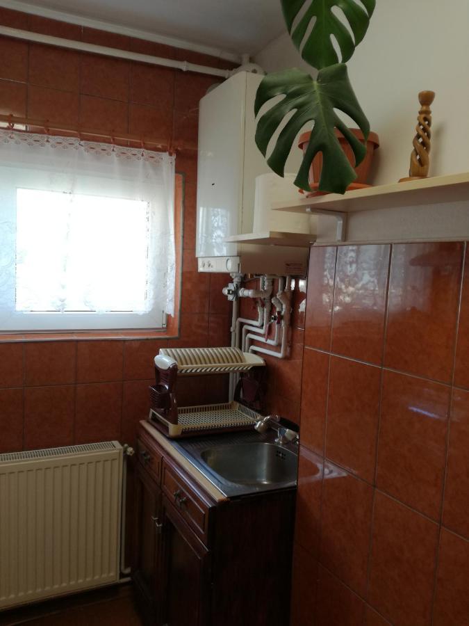 Sara Apartman Târgu-Mureş 외부 사진