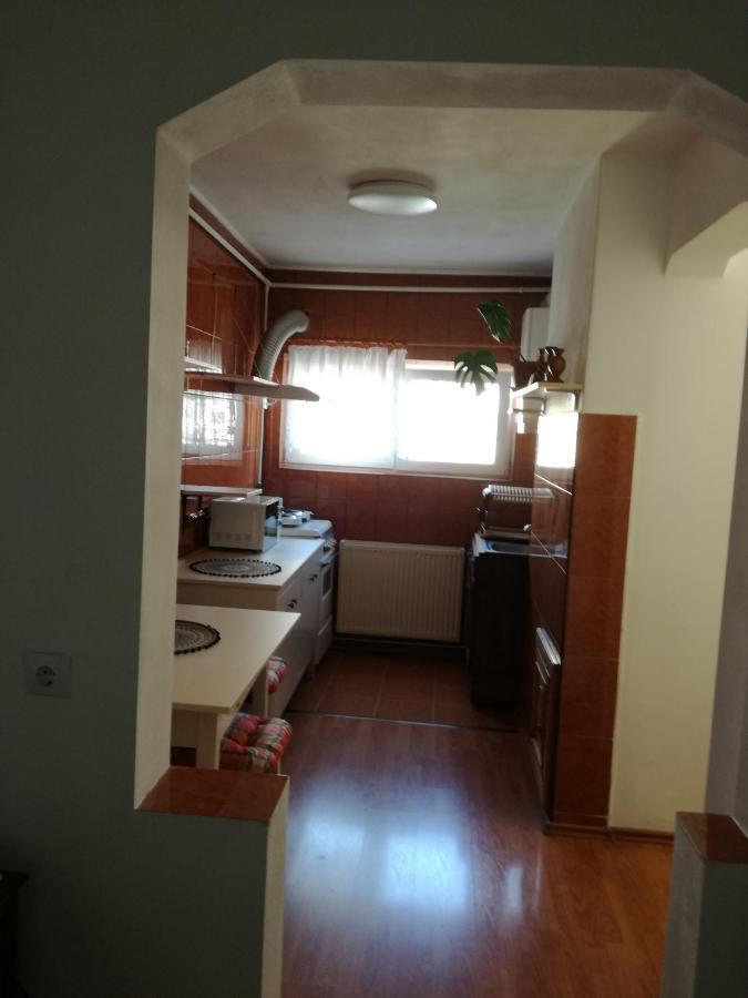 Sara Apartman Târgu-Mureş 외부 사진